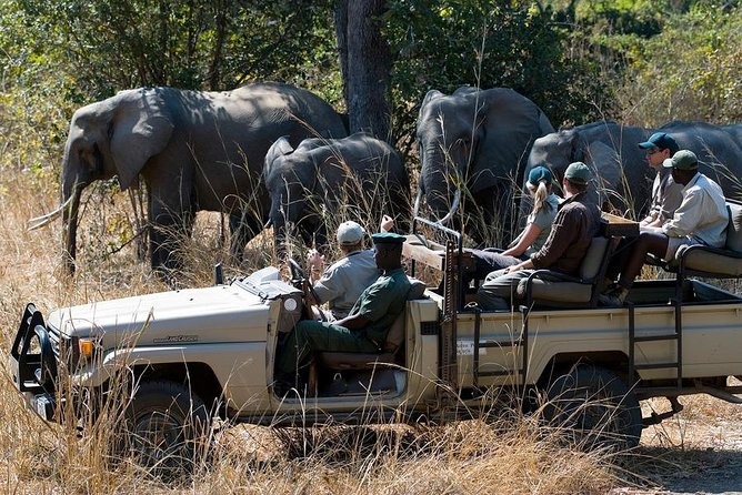 Zambezi Sunset Cruise + Game Drive Safari with hotel Pick Up - A river evening followed by a search for wildlife