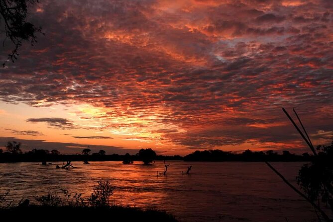 Zambezi Sunset Cruise In Victoria Falls - Wildlife at the water’s edge