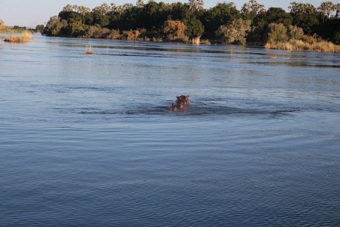 Zambezi Sunset Cruise – Wildlife, Drinks & Breathtaking Views - Why the sunset is more than a backdrop